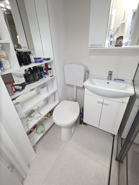 Petre Ispirescu, Sebastian, 10 minute de Unirii, 65000 euro